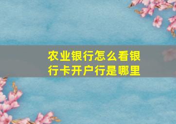 农业银行怎么看银行卡开户行是哪里