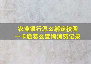 农业银行怎么绑定校园一卡通怎么查询消费记录