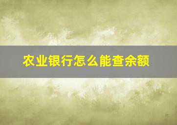 农业银行怎么能查余额