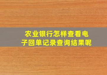 农业银行怎样查看电子回单记录查询结果呢