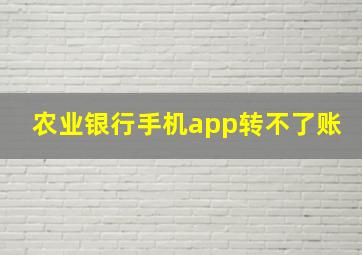 农业银行手机app转不了账