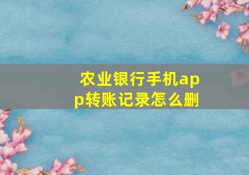 农业银行手机app转账记录怎么删