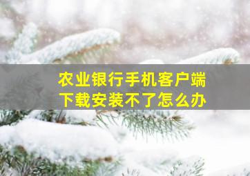 农业银行手机客户端下载安装不了怎么办