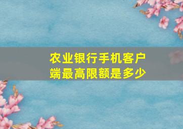 农业银行手机客户端最高限额是多少