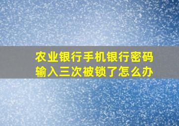 农业银行手机银行密码输入三次被锁了怎么办