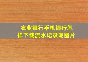 农业银行手机银行怎样下载流水记录呢图片