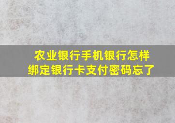 农业银行手机银行怎样绑定银行卡支付密码忘了