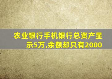 农业银行手机银行总资产显示5万,余额却只有2000