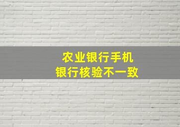 农业银行手机银行核验不一致