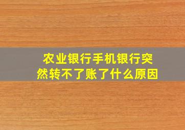 农业银行手机银行突然转不了账了什么原因