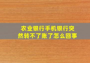 农业银行手机银行突然转不了账了怎么回事