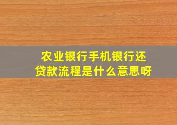 农业银行手机银行还贷款流程是什么意思呀