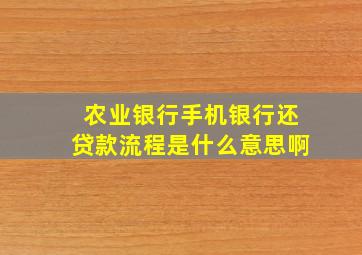 农业银行手机银行还贷款流程是什么意思啊