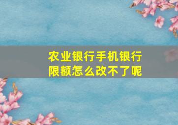 农业银行手机银行限额怎么改不了呢