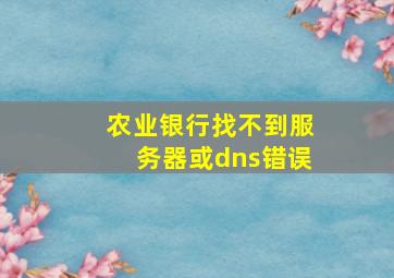 农业银行找不到服务器或dns错误