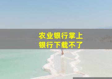 农业银行掌上银行下载不了