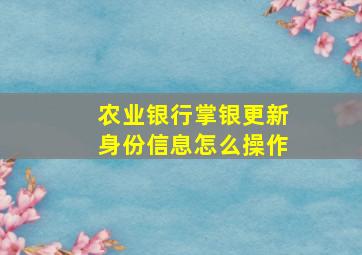 农业银行掌银更新身份信息怎么操作