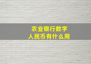 农业银行数字人民币有什么用