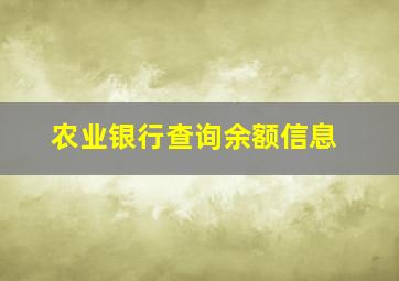 农业银行查询余额信息