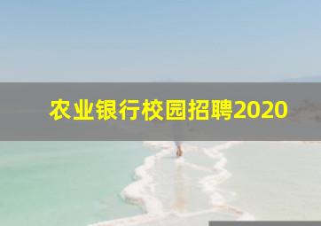 农业银行校园招聘2020