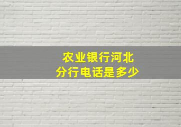 农业银行河北分行电话是多少