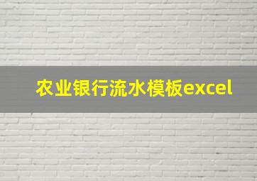 农业银行流水模板excel