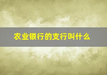 农业银行的支行叫什么