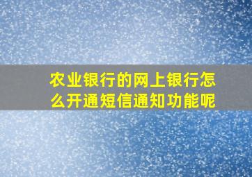 农业银行的网上银行怎么开通短信通知功能呢