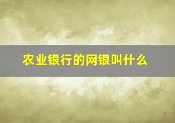 农业银行的网银叫什么