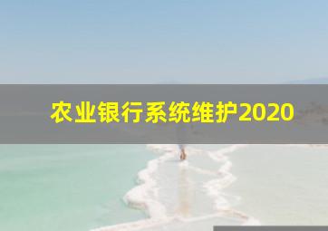 农业银行系统维护2020