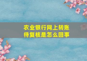 农业银行网上转账待复核是怎么回事