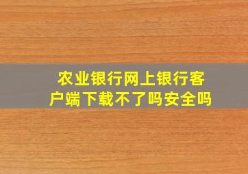 农业银行网上银行客户端下载不了吗安全吗