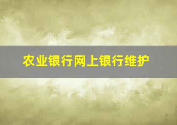 农业银行网上银行维护