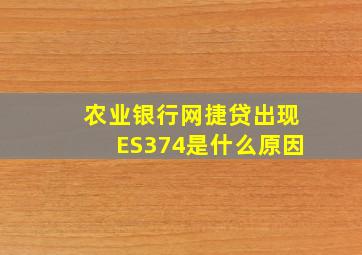 农业银行网捷贷出现ES374是什么原因