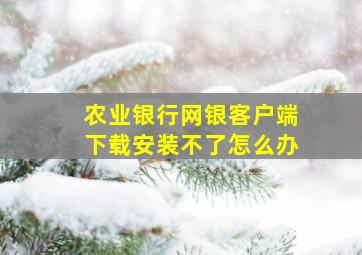 农业银行网银客户端下载安装不了怎么办