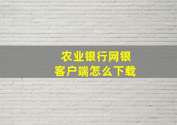 农业银行网银客户端怎么下载