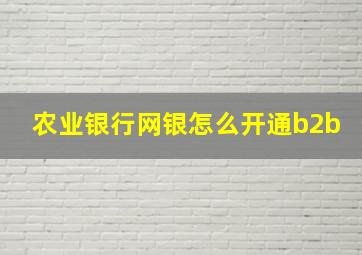 农业银行网银怎么开通b2b