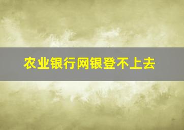 农业银行网银登不上去