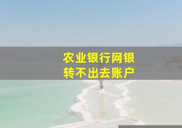 农业银行网银转不出去账户