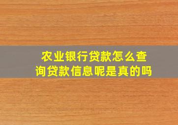 农业银行贷款怎么查询贷款信息呢是真的吗