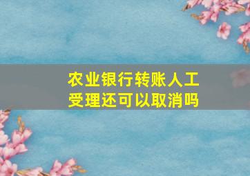 农业银行转账人工受理还可以取消吗