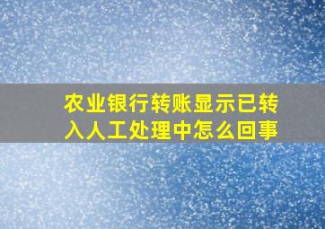 农业银行转账显示已转入人工处理中怎么回事