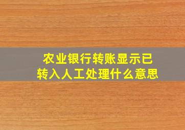 农业银行转账显示已转入人工处理什么意思