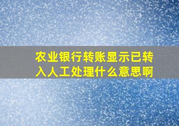 农业银行转账显示已转入人工处理什么意思啊