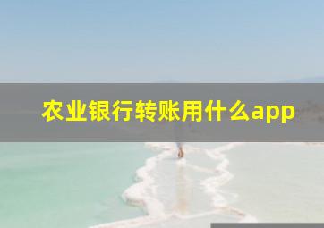 农业银行转账用什么app