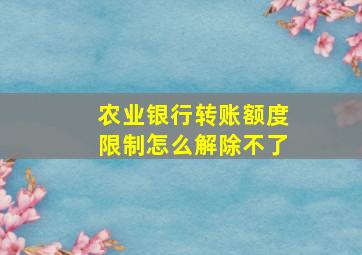 农业银行转账额度限制怎么解除不了