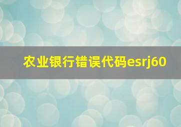 农业银行错误代码esrj60