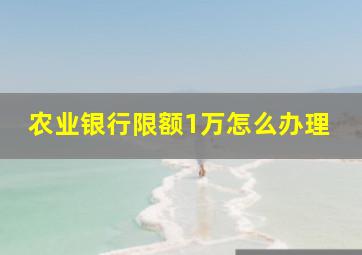 农业银行限额1万怎么办理