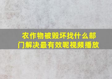 农作物被毁坏找什么部门解决最有效呢视频播放