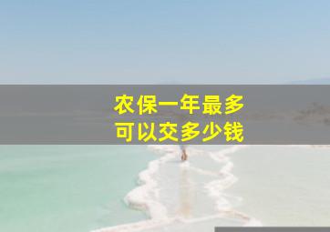 农保一年最多可以交多少钱